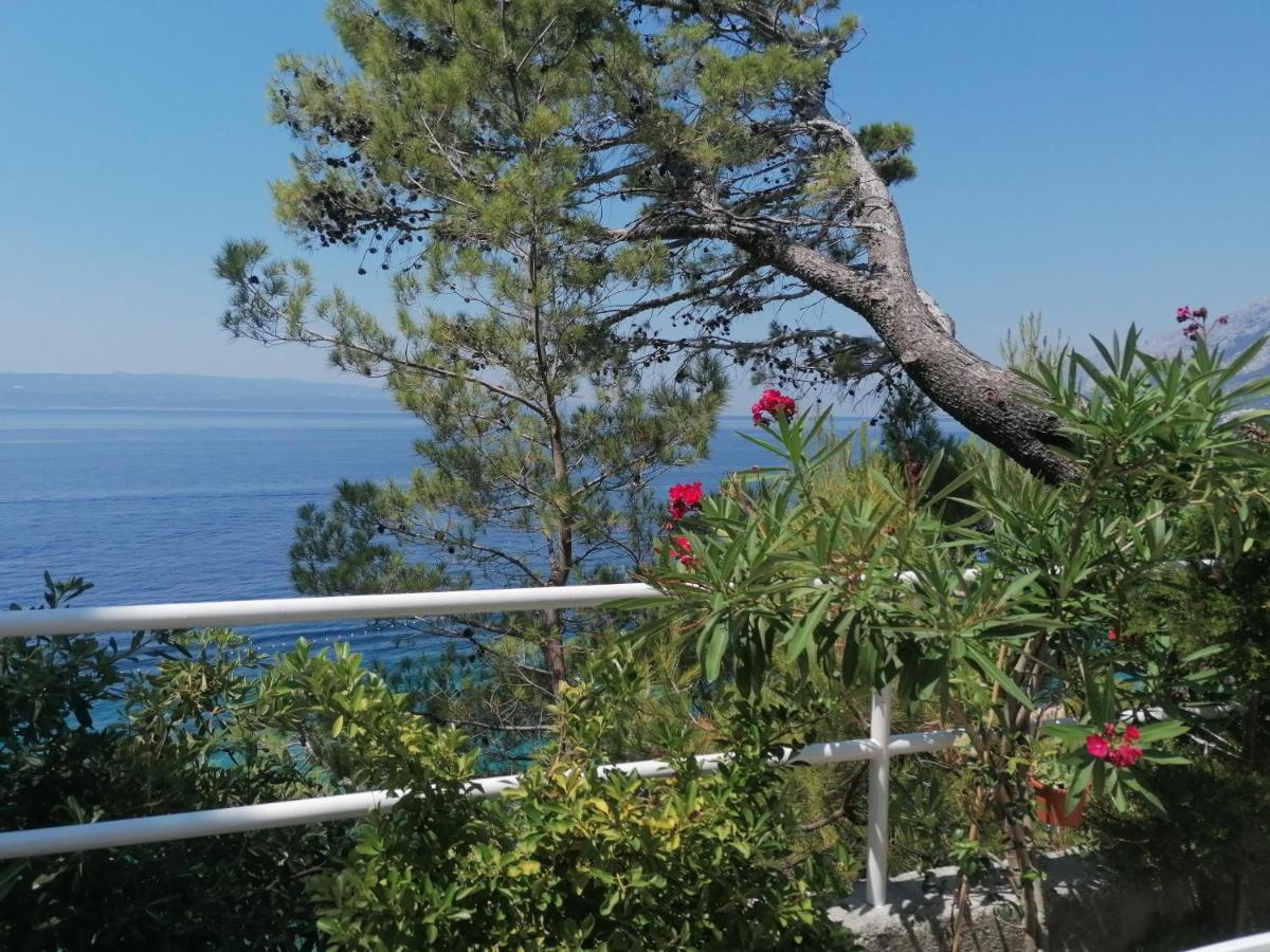 Mares - 20 M From The Appartement Brela