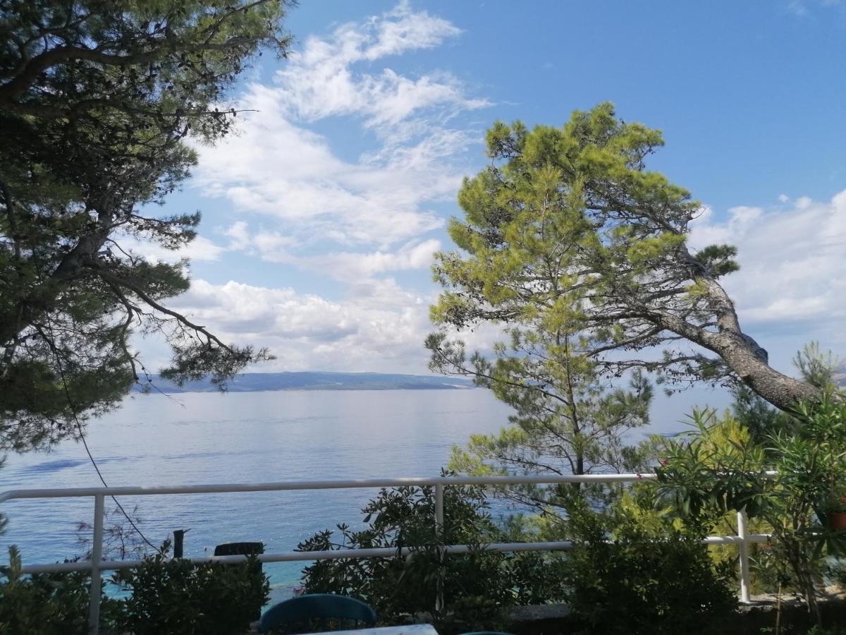 Apartment Mares - 20 M From The